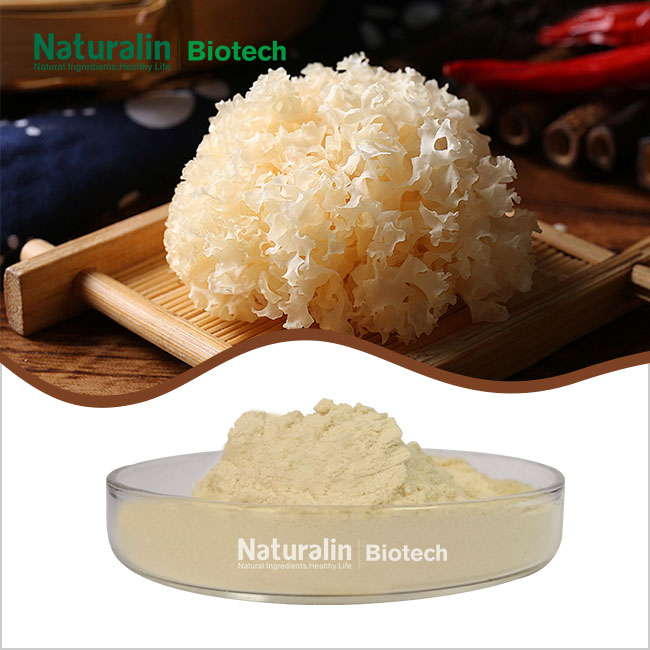 Tremella Fuciformis Mushroom Extract Powder Tremella Fuciformis Mushroom Extract Powder